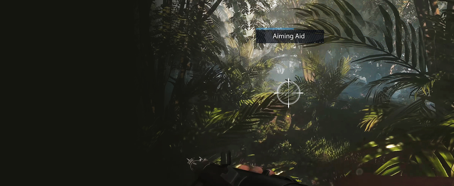 Aiming Aid