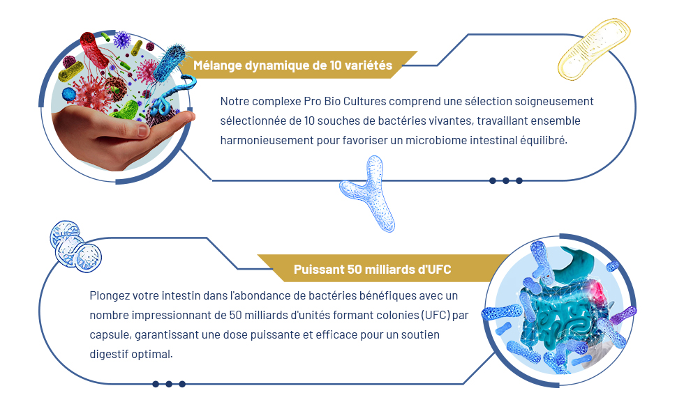 avec texte en français et illustrations de micro-organismes colorés. Affiche des informations sur les probiotiques, y compris un mélange dynamique de 10 souches et une puissance de 50 milliards d'UFC