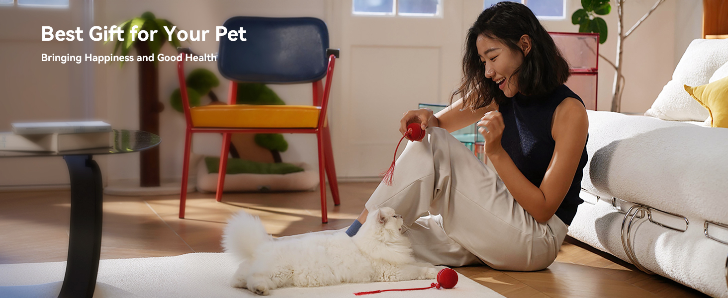 interactive cat toys