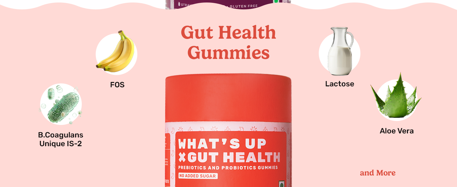 Biotin Gut Health