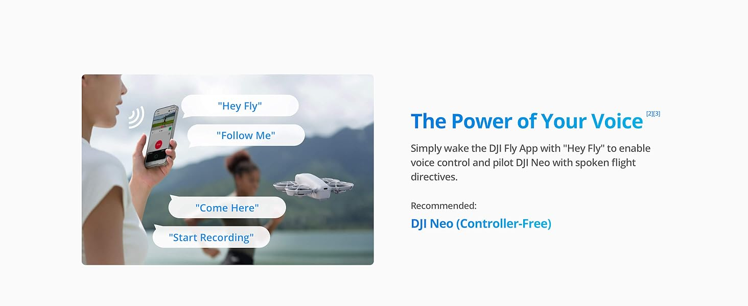 Voice Control