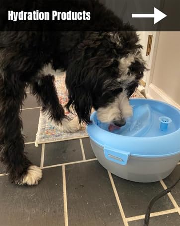 Dog drinking out of Healthspring Pet Fountain