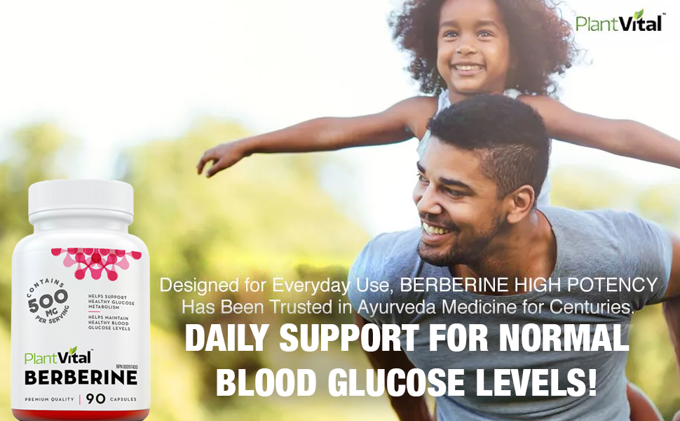 Best Berberine Supplement For Blood Sugar