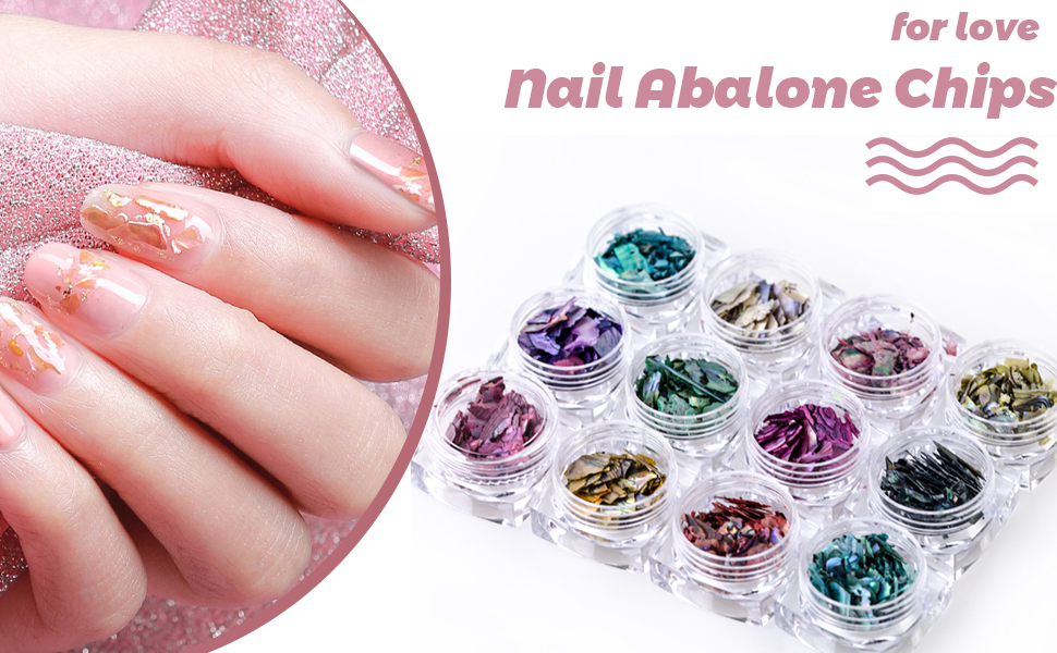 Abalone Seashell Slices