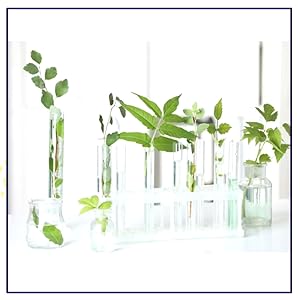 acne spot treatment for face – rosacea cream that helps minimize unwanted breakouts.