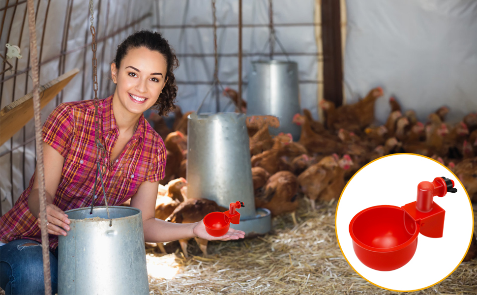 Chicken Water Cups, Chicken Watering Cups, 6 Pack Automatic