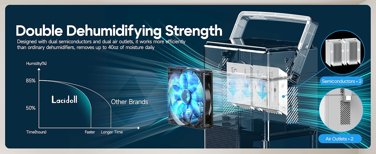 dehumidifier for basement