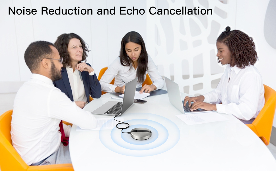 Noise reduction and echo cancellation