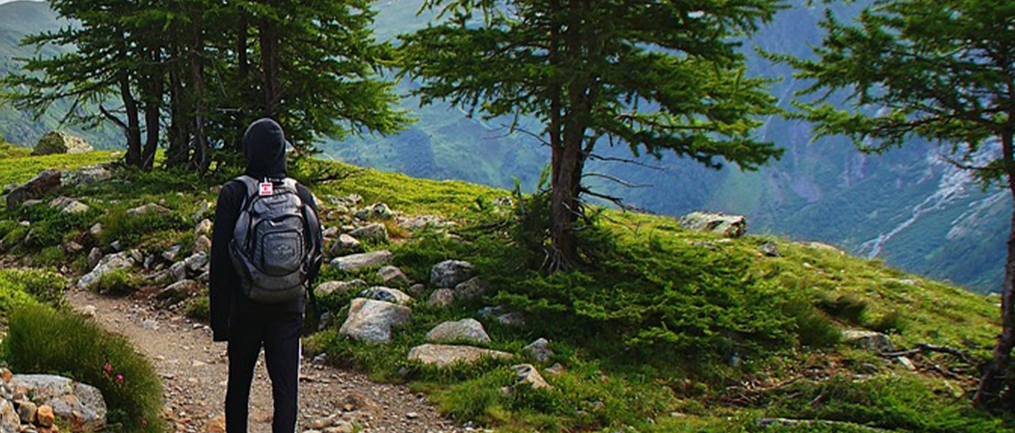  Liquid Waste Gelling and Deodorizing Powder