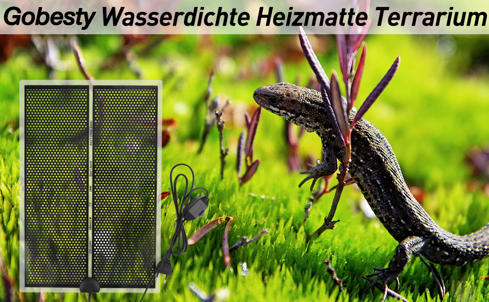 eine Nahaufnahme einer Eidechse auf einer Wiese