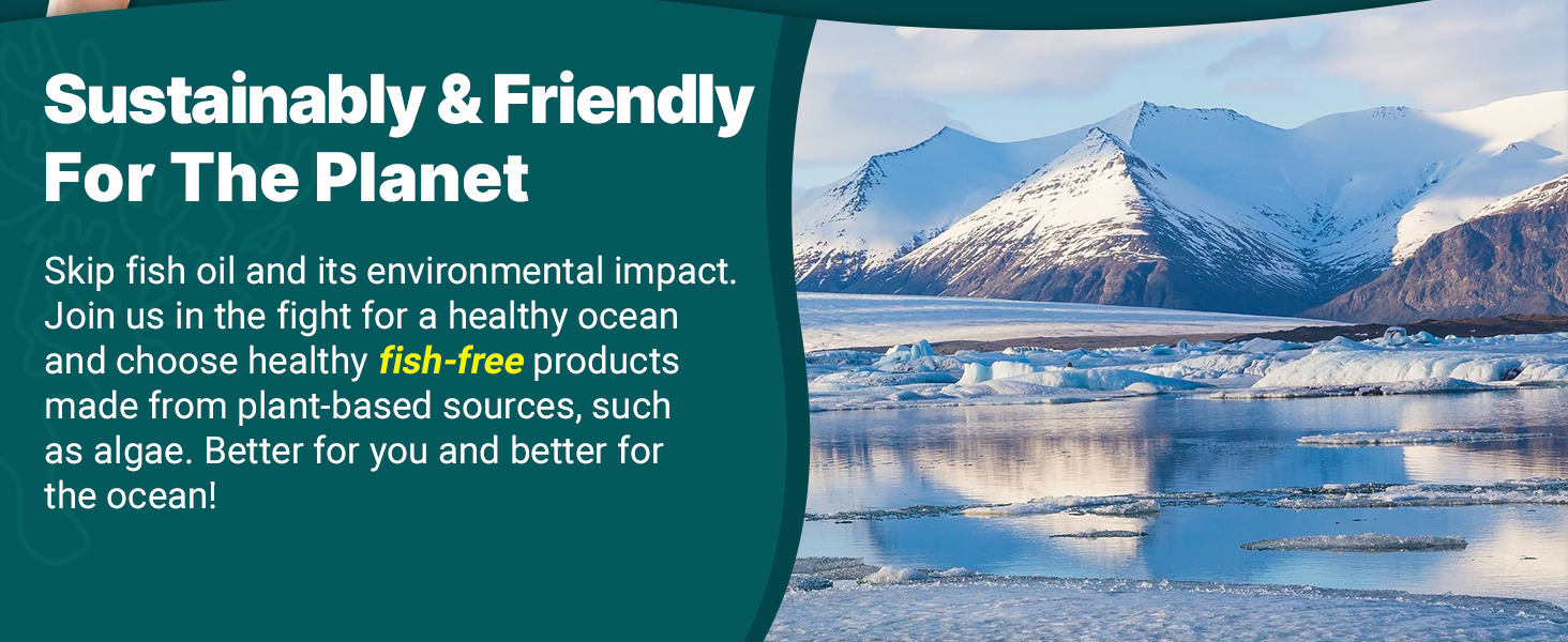 omega 3 fatty acid supplement