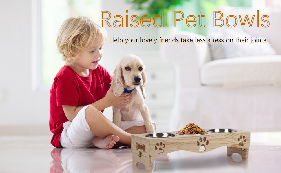 JAZUIHA Cat Food Bowls Set, Stainless Elevated Pet Dishes