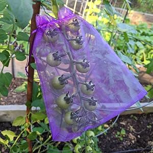 fruit protection bags