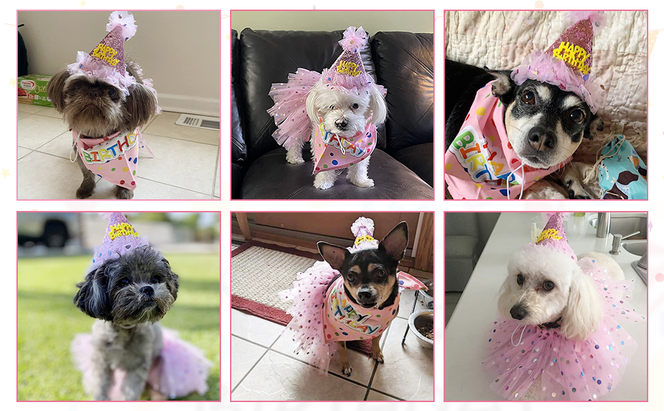 dog birthday set