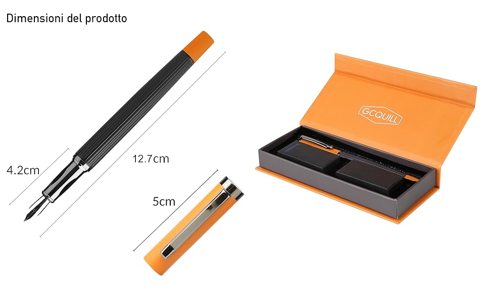 Set penna stilografica - Pennino fine con 12 cartucce d'inchiostro e convertitore di ricarica