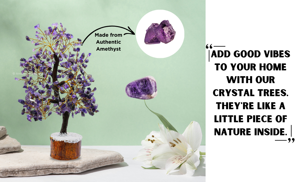 Bonsai Trees for Positive Energy, Good Luck gifts for Women & Men's