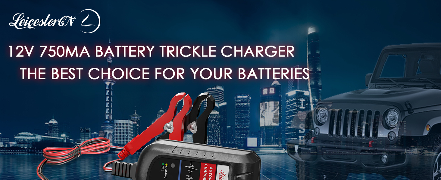 trickle charger