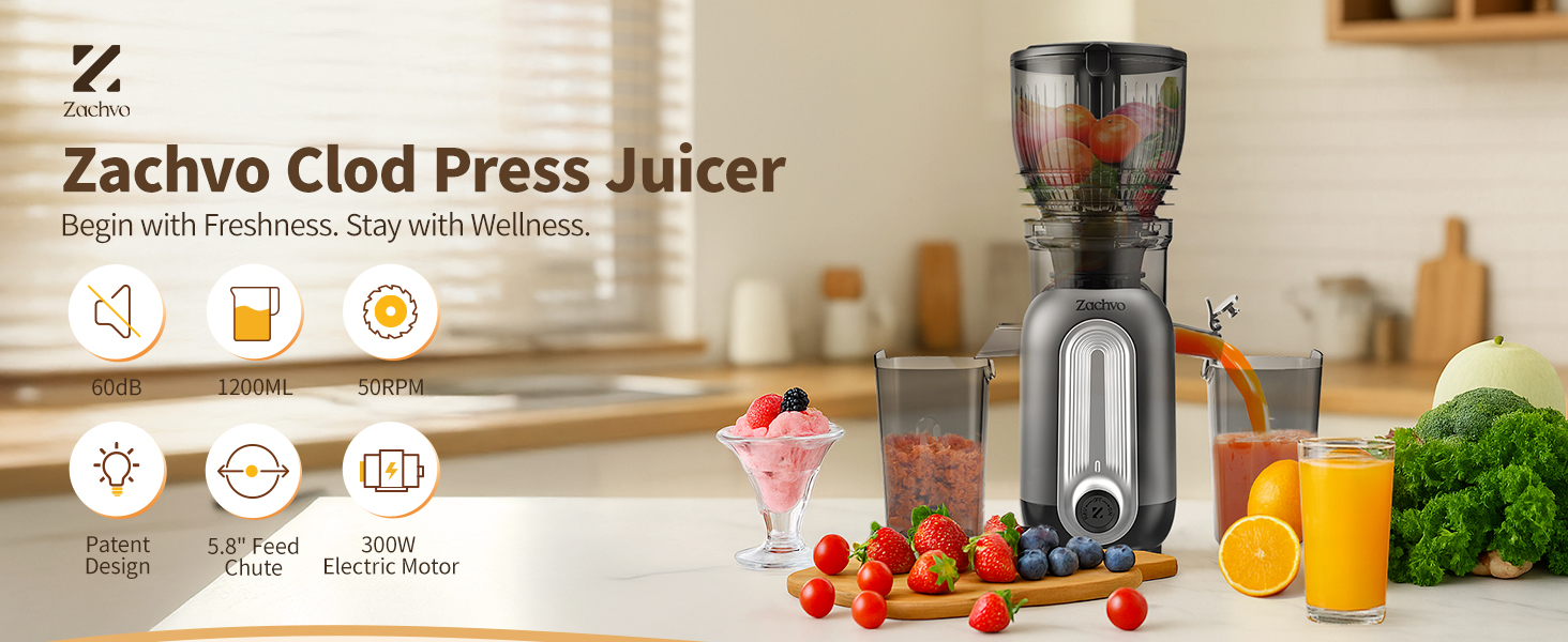 Cold Press Juicer Machines A+01