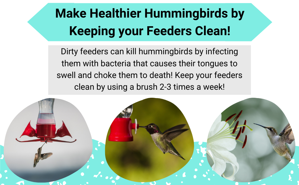 Hummingbrid Feeder Cleaning Brush, DualPurpose Headed