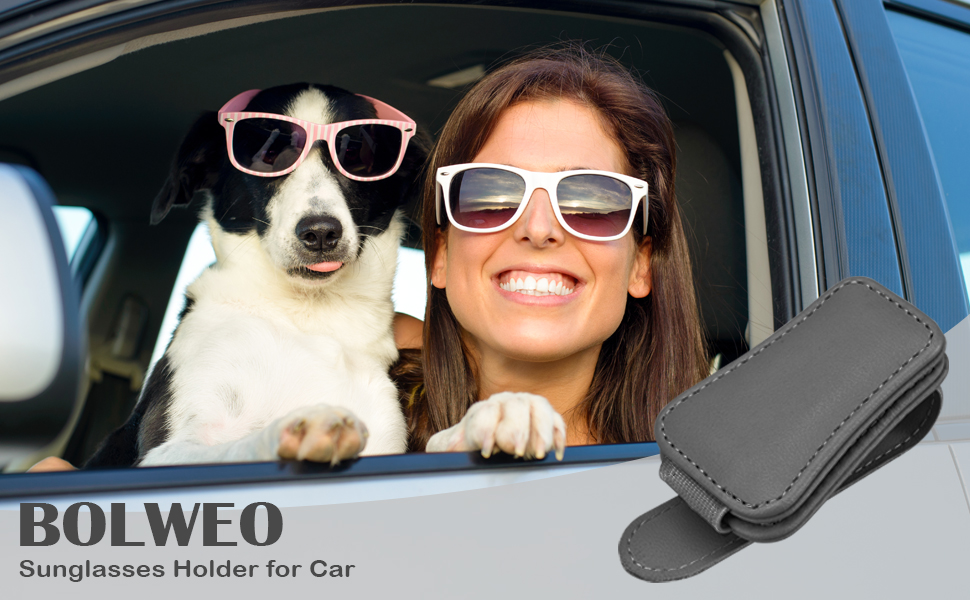 BOLWEO Sunglass Holder for Car 2 Leather Car