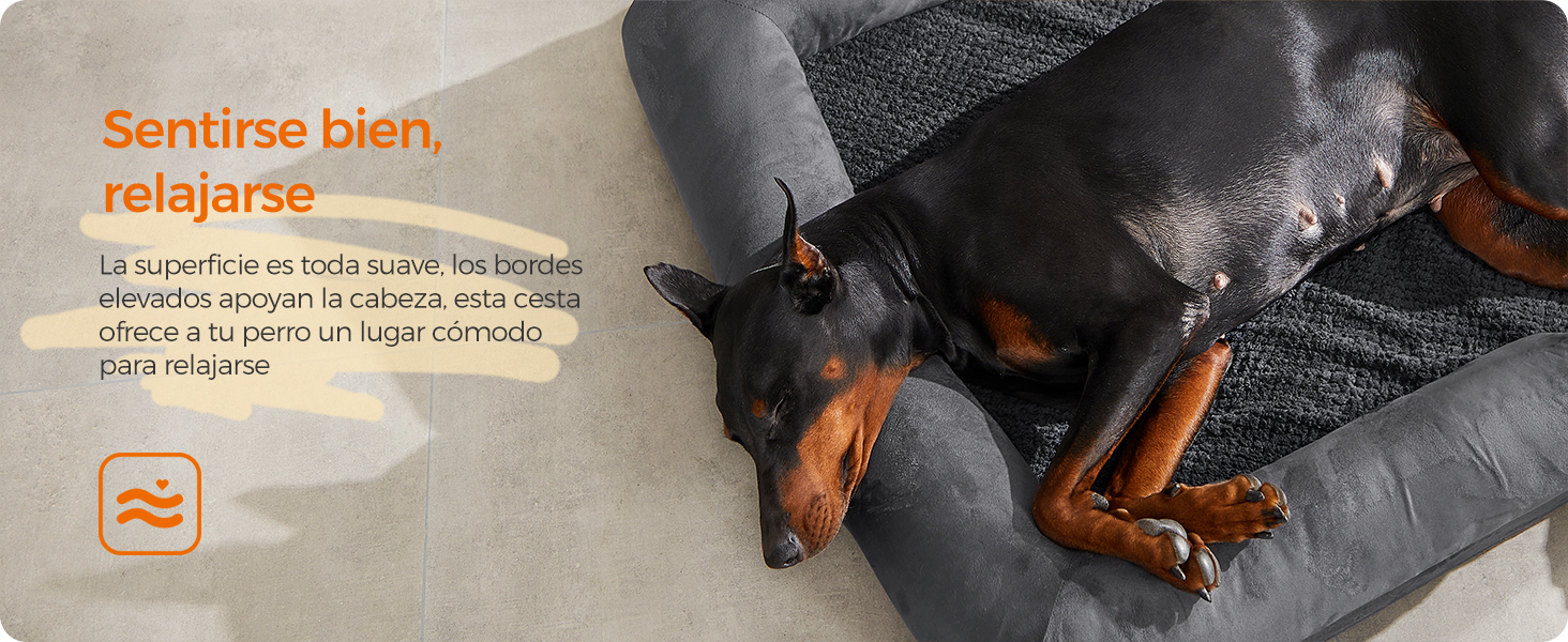 un perro acostado en una cama para perros con una superposición de texto que dice: «Los dobermans están por todos lados. «