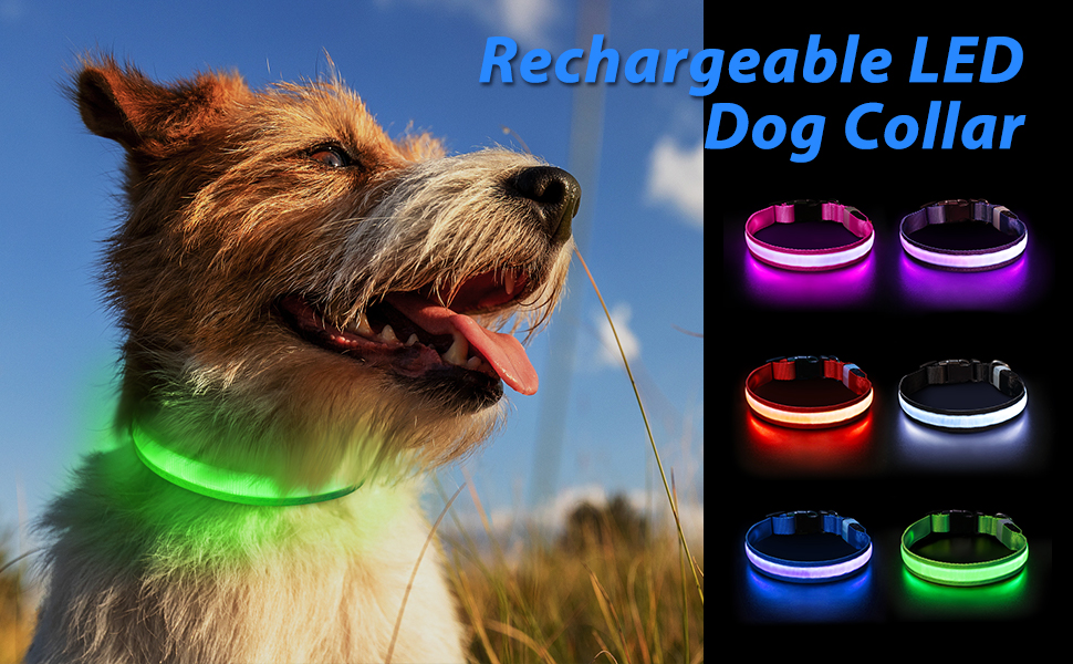 Light Up Dog Collar Rechargeable, PcEoTllar 7 Colors Flashing Dog