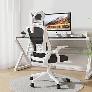 Black Mid Back Mesh Computer Chair with Lumbar Support