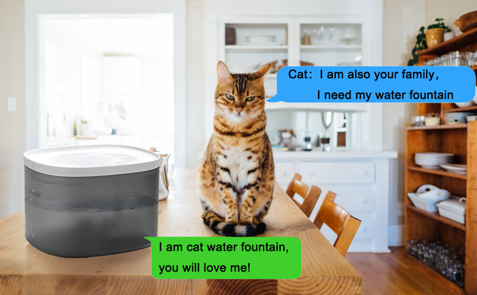 cat water fountain
