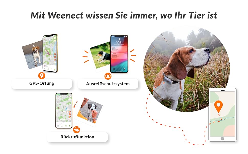 Weenect Dogs 2 GPSTracker für Hunde GPSTracking in echtzeit