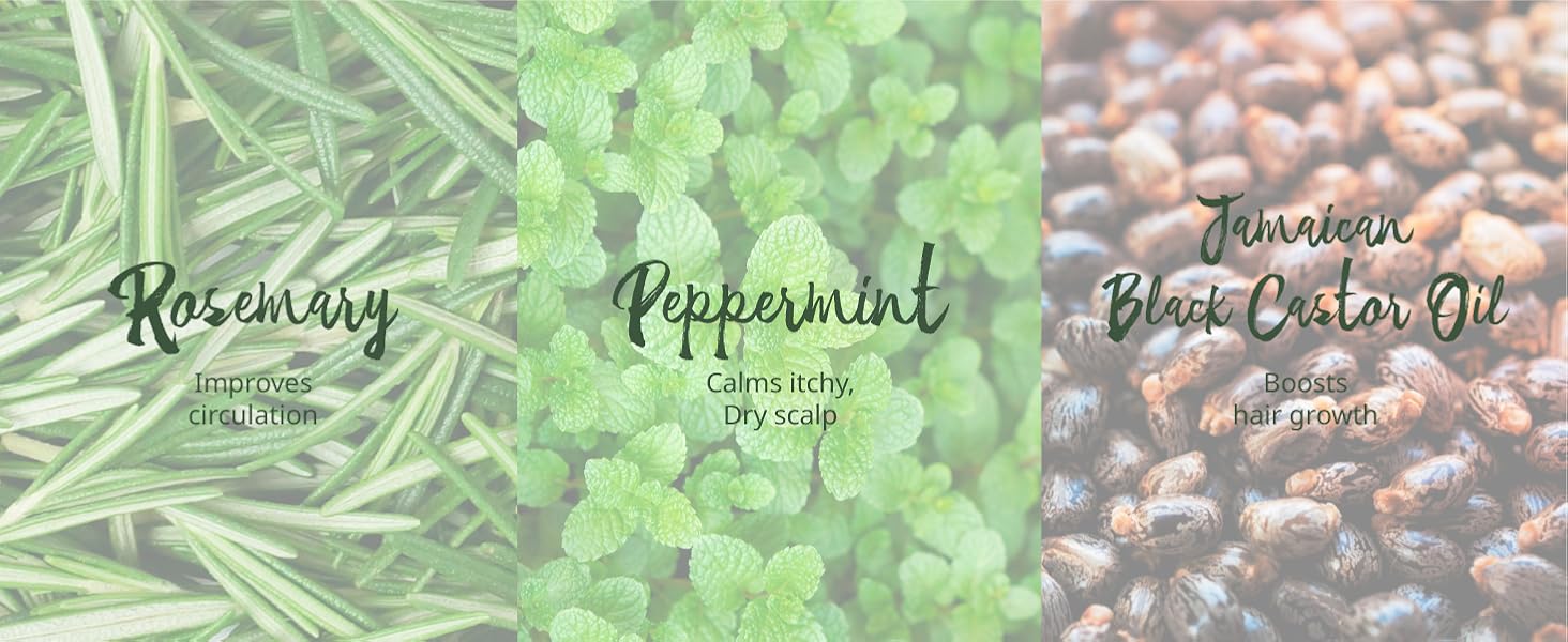 Hair Gro Rosemary Mint Shampoo