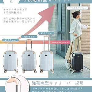 大型魚の簡易キャリーバッグ フィッシュキャリーバッグ DX II – フィッシングマックス WEBSHOP