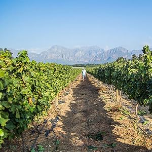 Small manufacture image 1