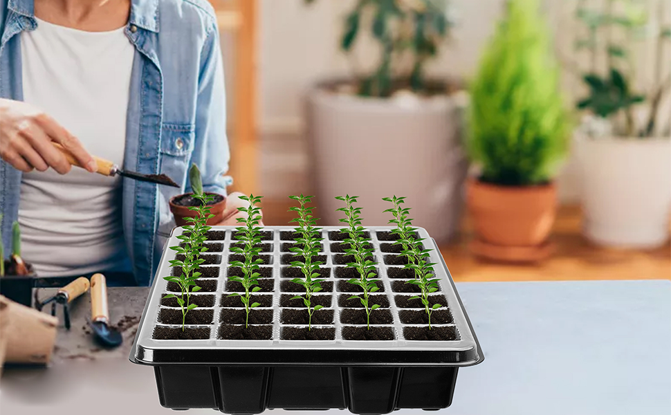 seed starter tray
