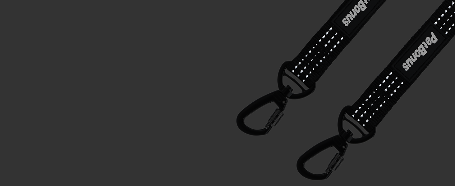 truck tether for dog