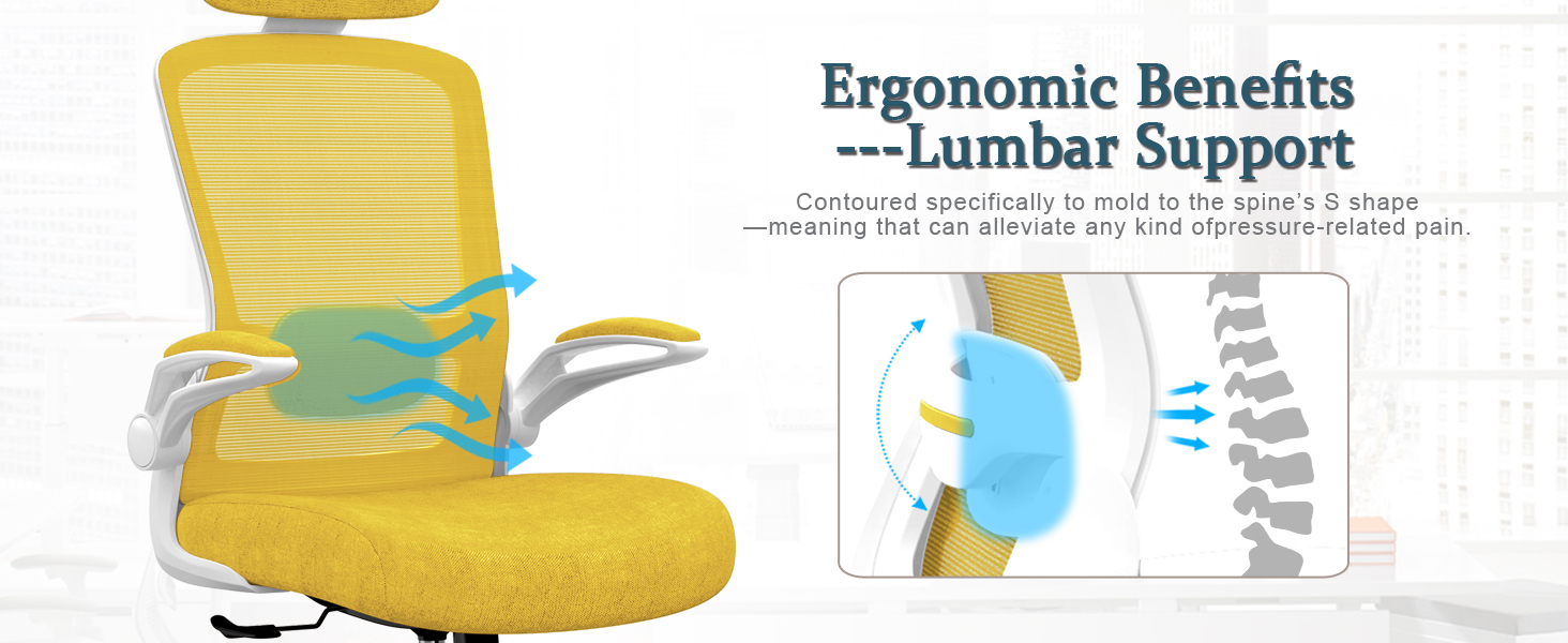 Mimoglad Office Chair, High Back Ergonomic Desk Chair with
