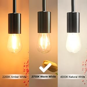 2700K Warm White Light