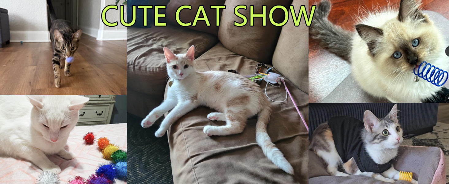 Cat Toy FOR Kittens to Swat, Bite, Hunt