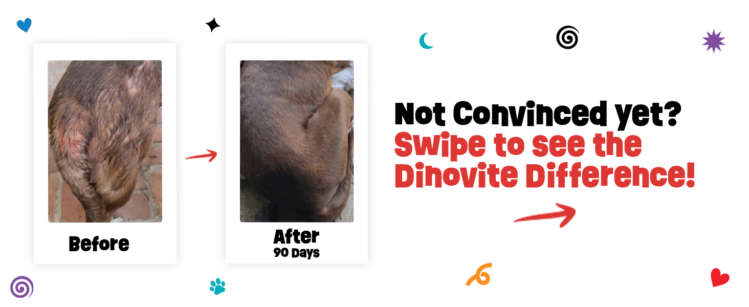 dog supplement, probiotic powder, itchy skin relief, digestive support, healthy coat, omega-3