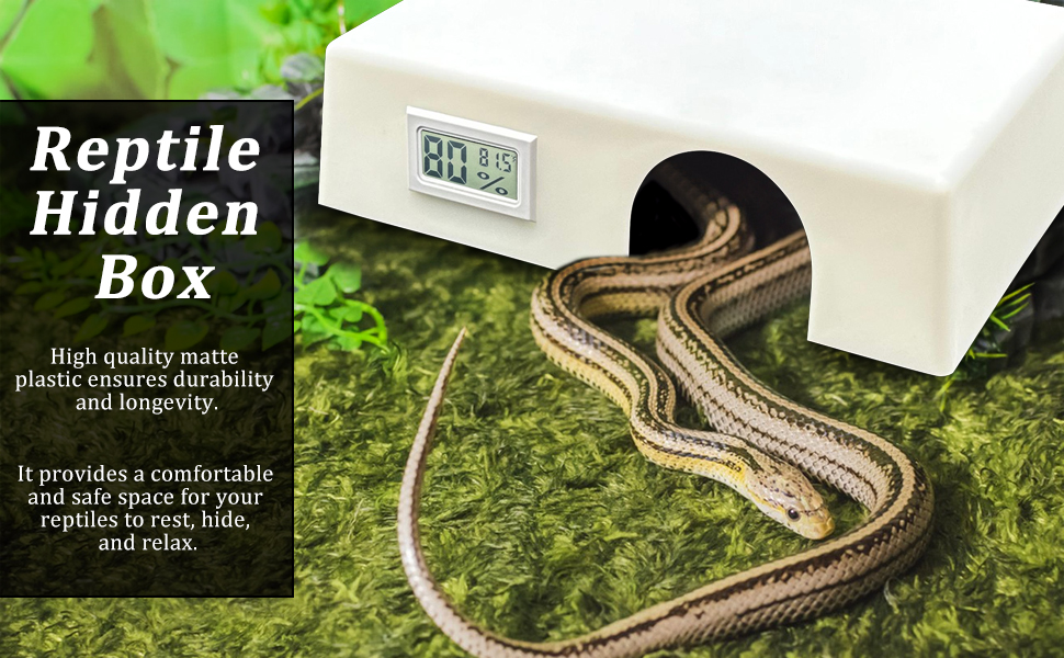 Amazon.com : Large Reptile Hide Box with Front Thermometer/Hygrometer ...