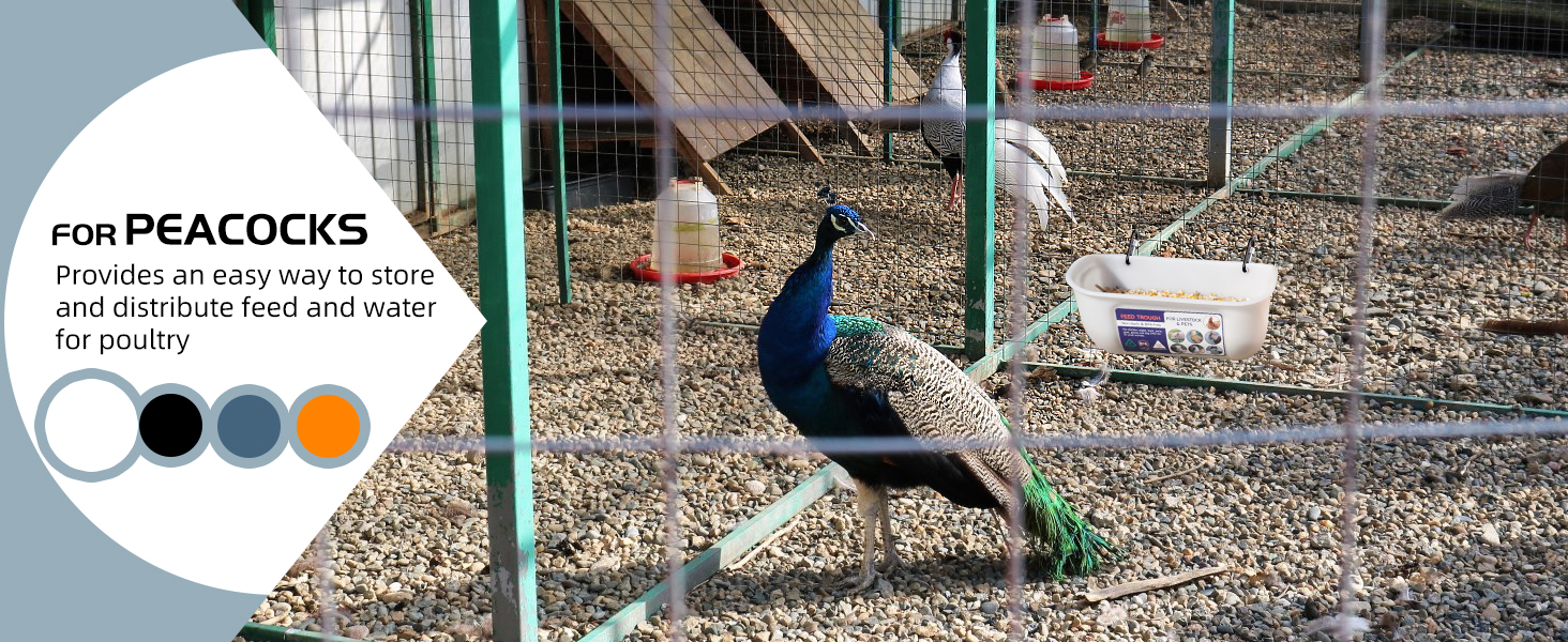 cattle trough feeder