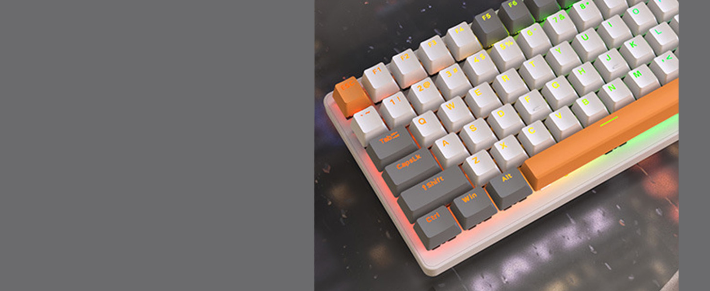 ZIYOU LANG Mechanical Gaming Keyboard K3 PRO wired keyboard 10 Chroma