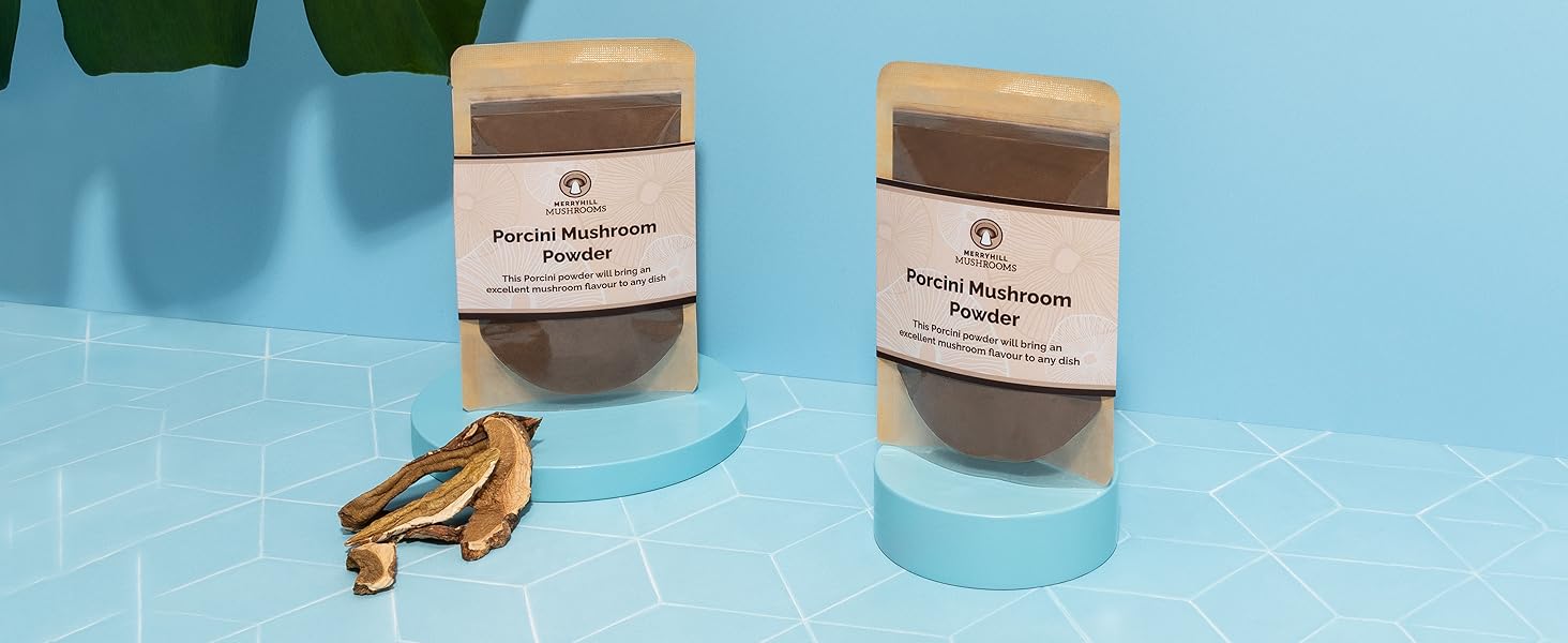 Porcini Powder