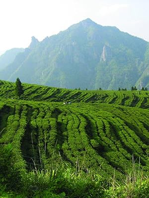 Small manufacture image 2