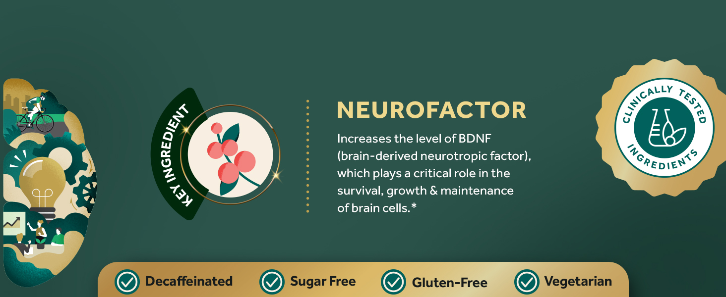 Neuriva Ultra Clinically Tested Neurofactor Ingredient