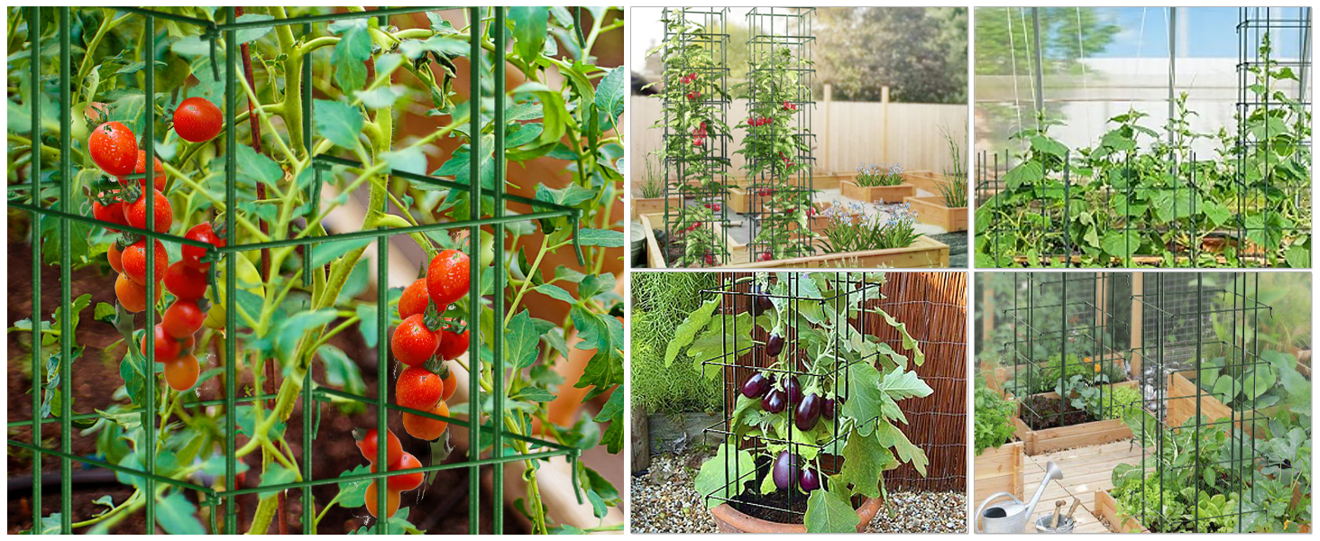 AMAGABELI Garden & Home Plant Support Cage Garden Plant Trellis