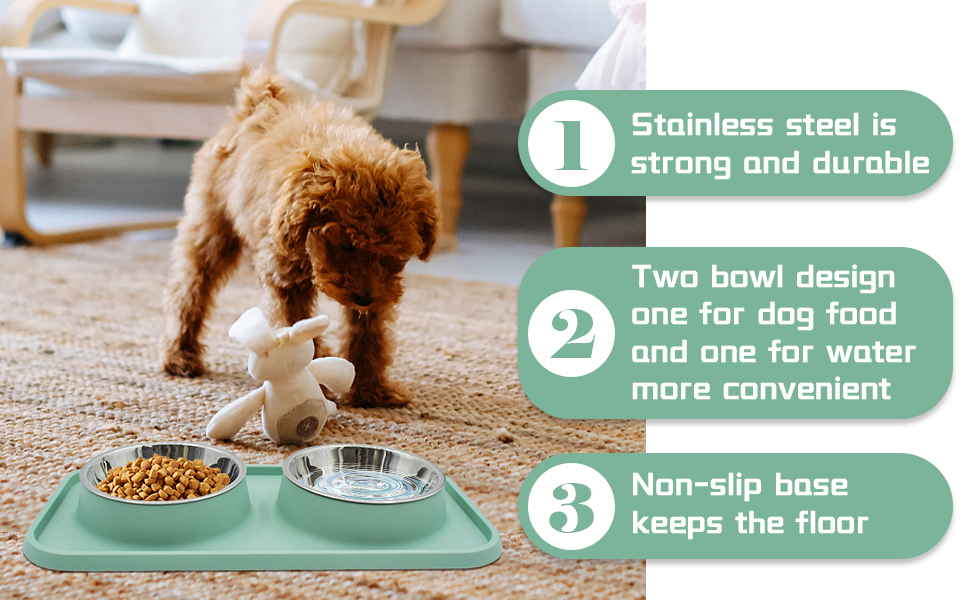 Dog Bowls 2 Stainless Steel Puppies Bowl with No Spill Non-Skid Silicone Mat Pet 