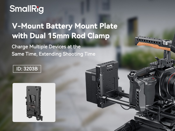 Amazon.com: SmallRig V Mount Battery Adapter Plate with PD
