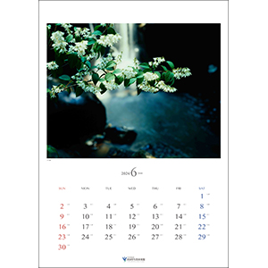 入江泰吉 オリジナルプリント12枚セット「四季大和路」特製額付 入江泰吉 オリジナルプリント12枚セット「四季大和路」特製額付