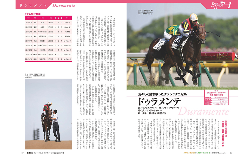 愛駿通信 キタサンブラック・サトノダイヤモンド と2012/2013年