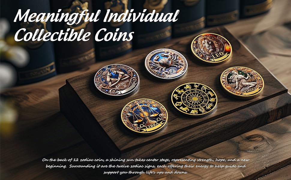 Twelve Constellations Aquarius Protective Talisman Coin